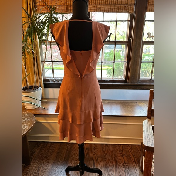 Express Ruffle Mini Dress - Picture 4 of 11